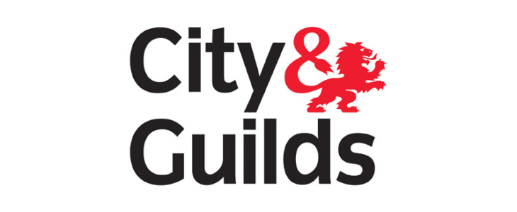 Home maintenance in Camberwell, city guilds logo.
